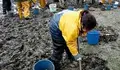 Esiximos ao goberno Eumés que se comprometa cos sectores productivos tradicionais do mar.