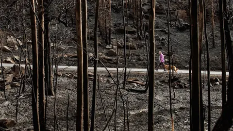 GRAF1209. MEL&Oacute;N (OURENSE), 18/10/2017.- Galicia trata de recuperar la normalidad y comienza a hacer balance del tr&aacute;gico fin de semana en el que los incendios forestales han acabado con la vida de cuatro personas y devastado en torno a 12.000 hect&aacute;reas de superficie, muchas de ellas zonas de alto valor ecol&oacute;gico. En la imagen, un hombre pasea con sus perros por la zona calcinada en el incendio de Moces (Mel&oacute;n). EFE/ Brais Lorenzo